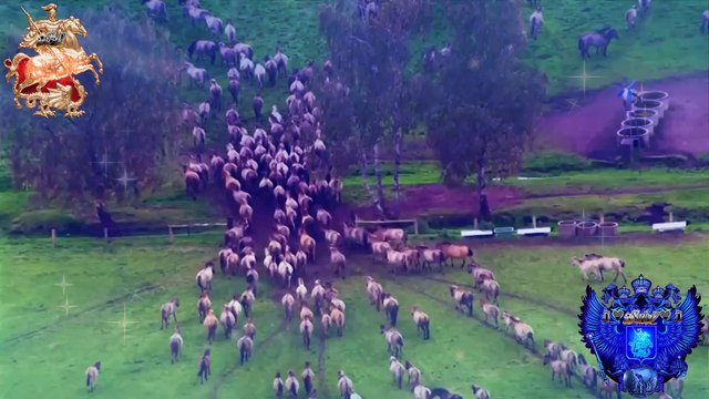 ♛♫♥Ronny K. vs Infite - To Stars (Original Mix) [Motiv8]♥♫♛