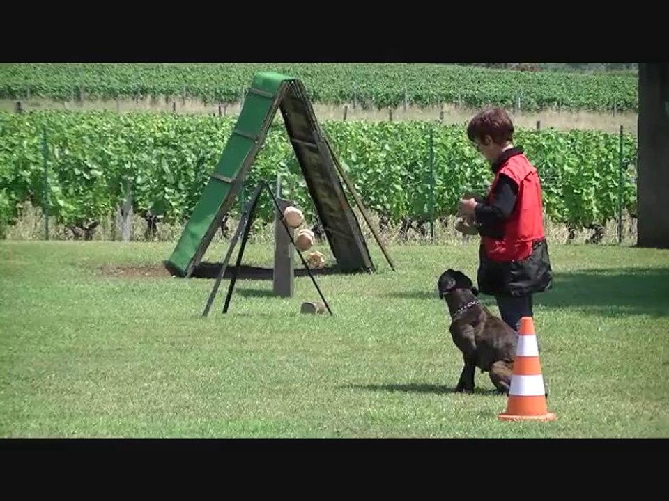 GLAMOUR certificat RCI (IPOV) - Conductrice Edith MARC - Pouilly-le-Monial le 26 juillet 2014 - Juge : Hervé François - H.A.: Jérôme Cavelier