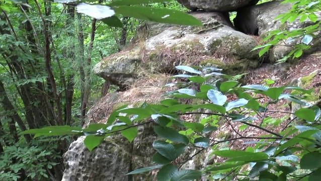 DIALOGUES AVEC NOTRE ANGE - 2 - Nos expériences transdimensionnelles avec les Planificateurs de Vie galactiques - SAND & JENAËL Chez Debowska Productions : debowska.fr