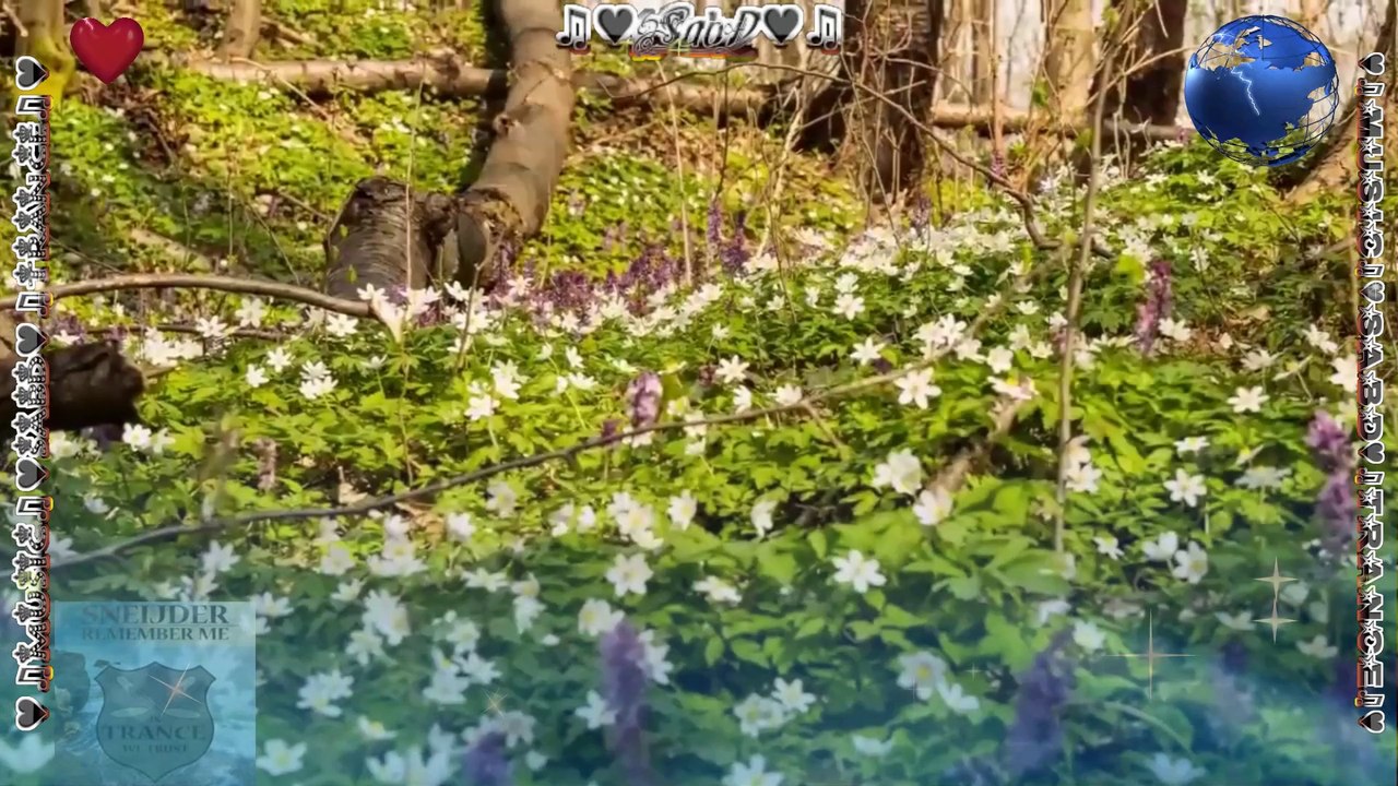 ♛♫♥Sneijder - Remember Me (Extended Mix) [In Trance We Trust]♥♫♛