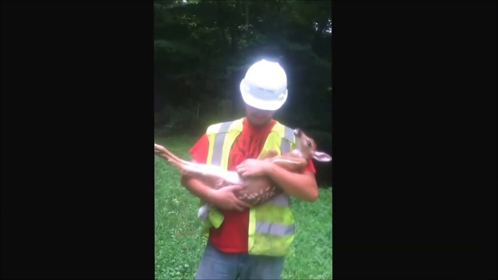 Bambi Le Bebe Faon Capricieux Non Je Veux Rester Dans Les Bras De Mon Maitre Video Dailymotion