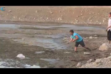 3 Ağustos 2014 - BALIK