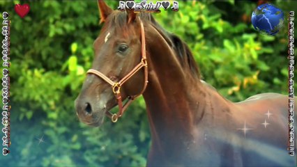 ♛♫♥Sound Apparel - Making End Of Heart Tale ( Original Mix )♥♫♛