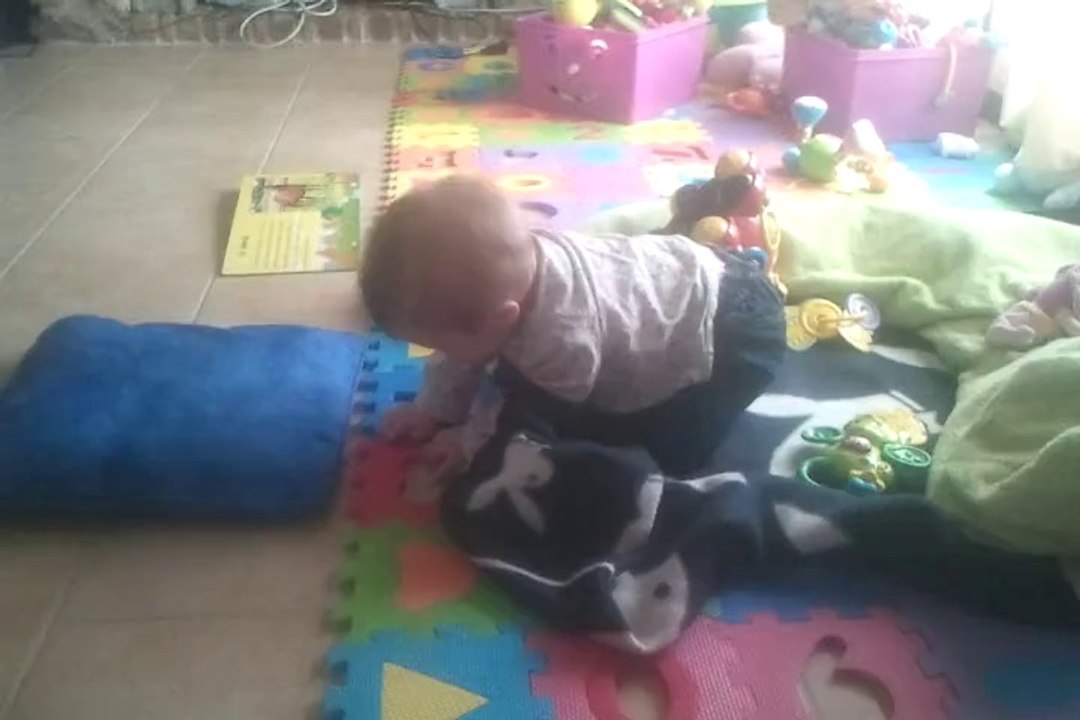 Louna et le 4 pattes