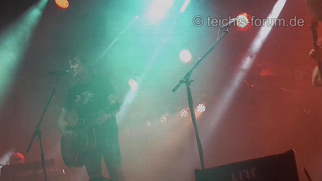 WSF_Auss_Clip