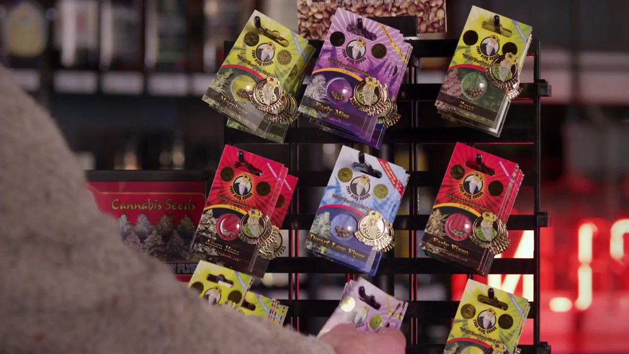 World's First Marijuana Commercial - Crop King Seeds