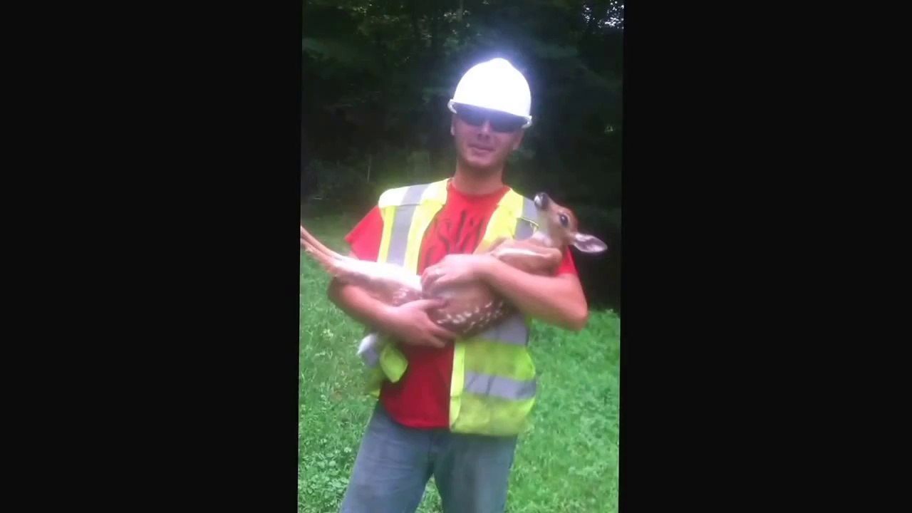 Bambi aussi adore les câlins, et il en veut toujours plus !