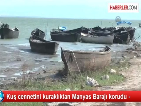 Kuş cennetini kuraklıktan Manyas Barajı korudu -