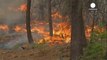 Wildfires rage in US Pacific Northwest