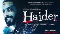Shahid Kapoor Flooded With Praises For Haider