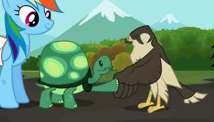 My Little Pony: FiM | Temporada 2 Capítulo 7 [33] | ¡Que Gane la Mejor Mascota! [Español Latino]