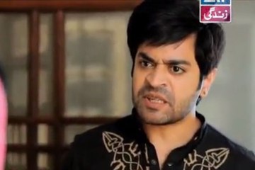 Behnein Aisi Bhi Hoti Hain Episode 65 Full on Ary Zindagi