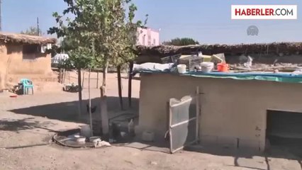 Katliam şüphelisi çoban ölü bulundu (2) -