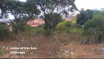Vente Terrain ANTANANARIVO (TANANARIVE) - Madagascar - A vendre Terrain de 2092 m2 titré et borné; à 100 m de la route principale, accès large à 15 mn de l'aéroport Talatamaty