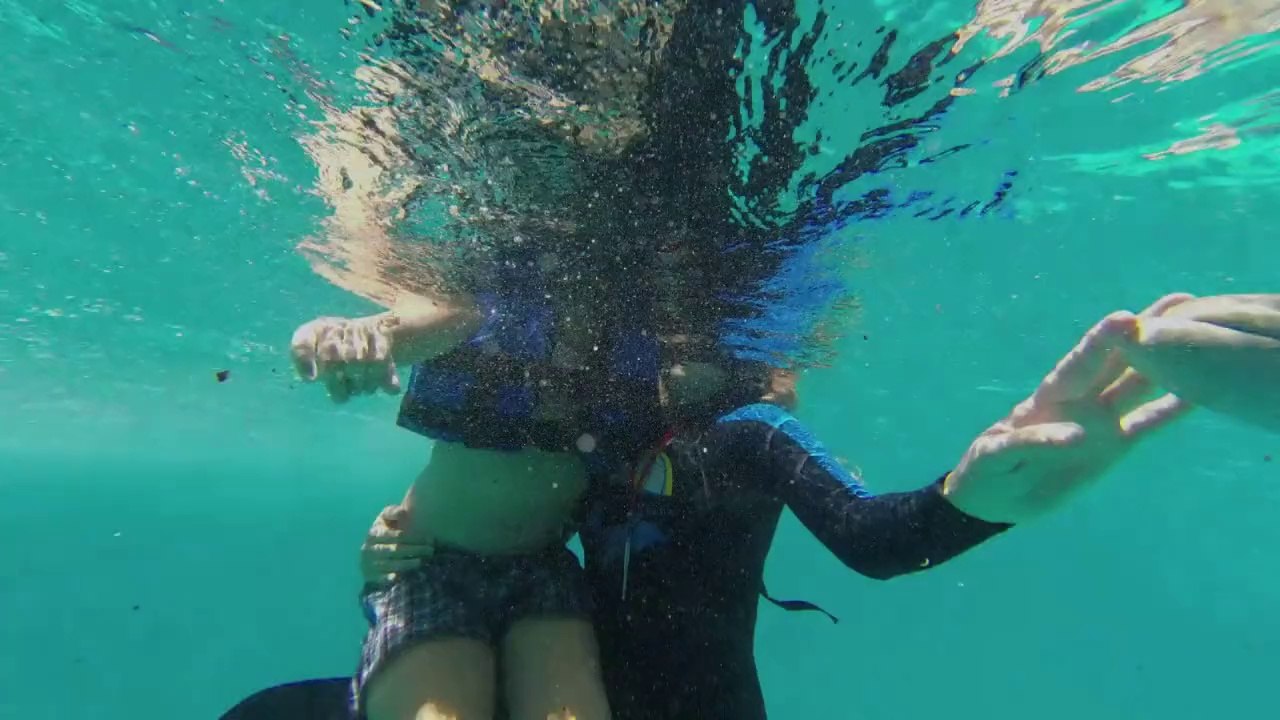 Cuba: des dauphins pour aider les enfants handicapés