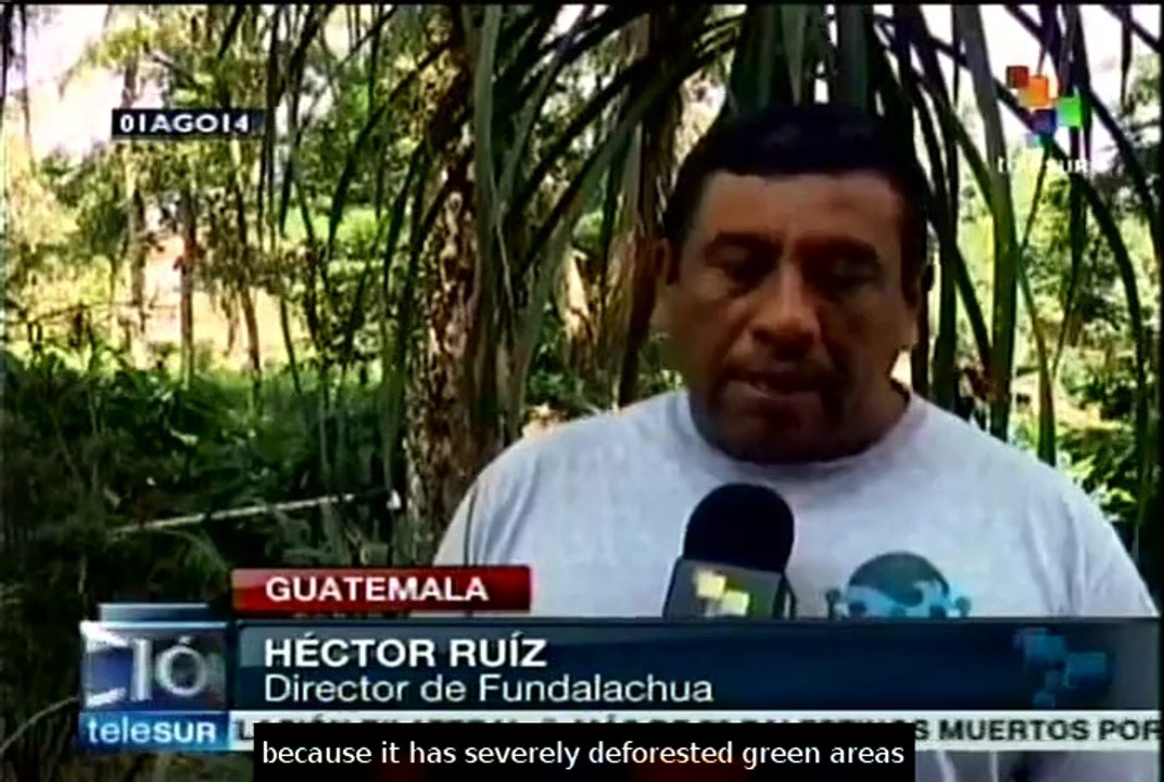 Monoagricultural plantations threaten natural reserve in Guatemala