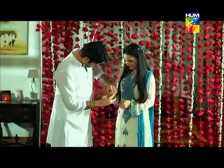 Mohabbat ab nahi hogi Episode 1 Hum TV Drama Full Episode