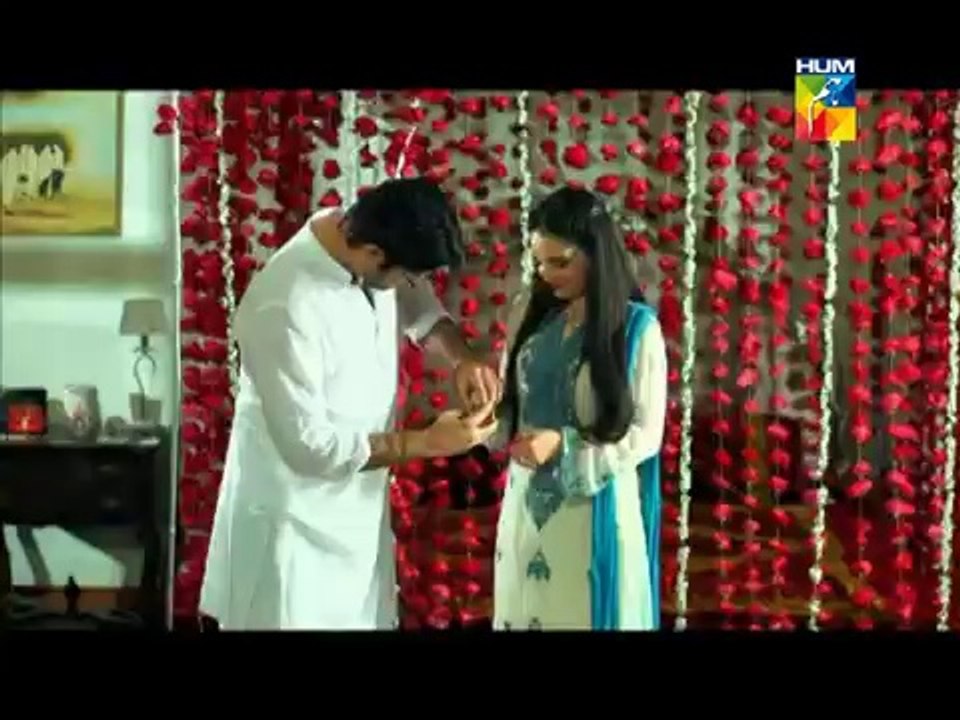 Mohabbat ab nahi hogi Episode 1 Hum TV Drama Full Episode