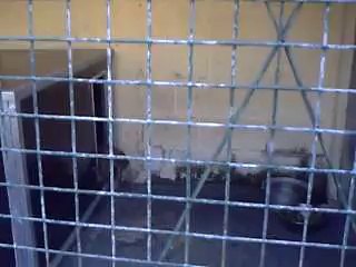 TRAVAUX AU REFUGE LE 10 AOUT 2010