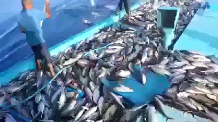 Açık Denizlerde Balık Tutma