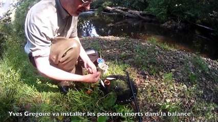 Pêche à l'écrevisse de Californie