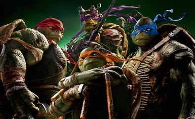 Which Teenage Mutant Ninja Turtle Are You? with Megan Fox