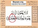 002v77-78 verses  baqarah mp4 Very Simple Listen, look & learn word by word urdu translation of Quran in the easiest possible method bayaan.Quran sheikh imran faiz eidt by anila imran faiz