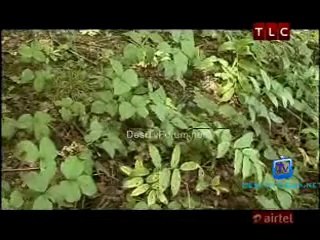 Get Out 5th August 2014 Video Watch Online pt2