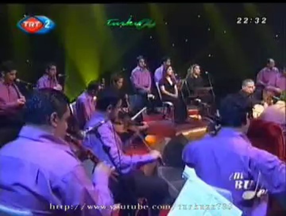 Muzaffer ERTÜRK-Sarı Çiçek Sarartıyor Dağları