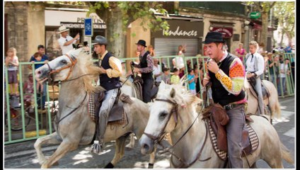 Abrivado Manade du Gardon