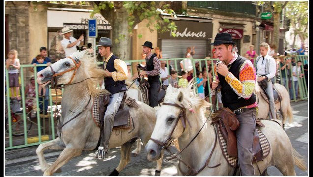 Abrivado Manade du Gardon