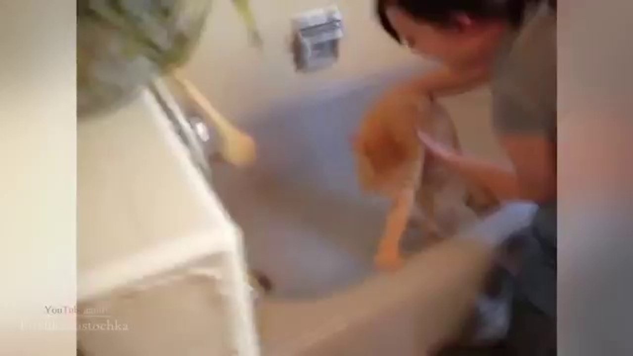 Pranks - Gags - Win - Fail.74