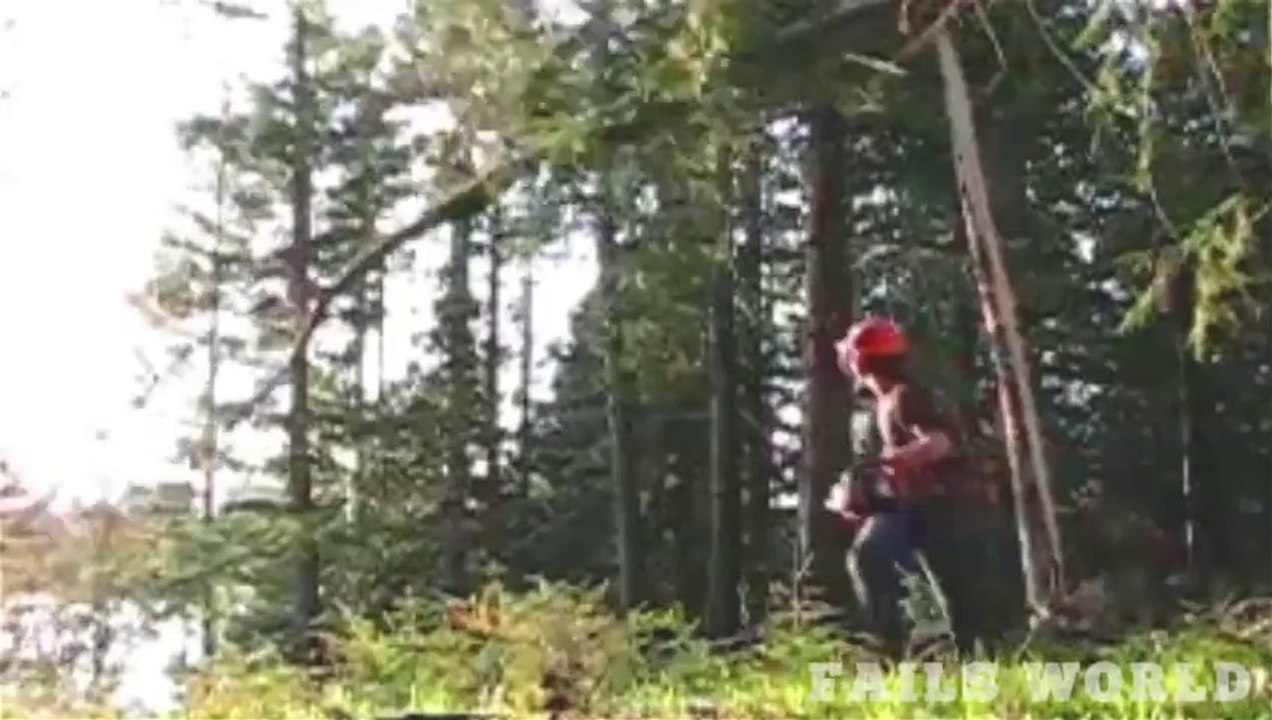 cutting a tree fail - Fails World