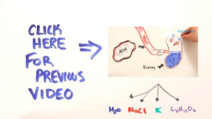 What causes a Hangover