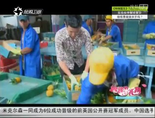 20140719 鲁豫的礼物 郝蕾化女仆为夫擦汗 鲍蕾瞬变女汉子