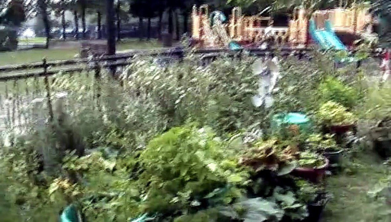 Video Blog - Saturday August 2, Sunday the 3 and Monday the 4, 2014 - Long weekend random vloggerhead