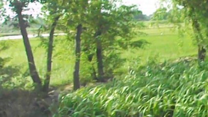 friends enjoying tubewell in sahiwal ( irfan khan ) 03214249924