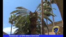 PROVINCIA BAT | Le tappe verso il “nuovo” ente