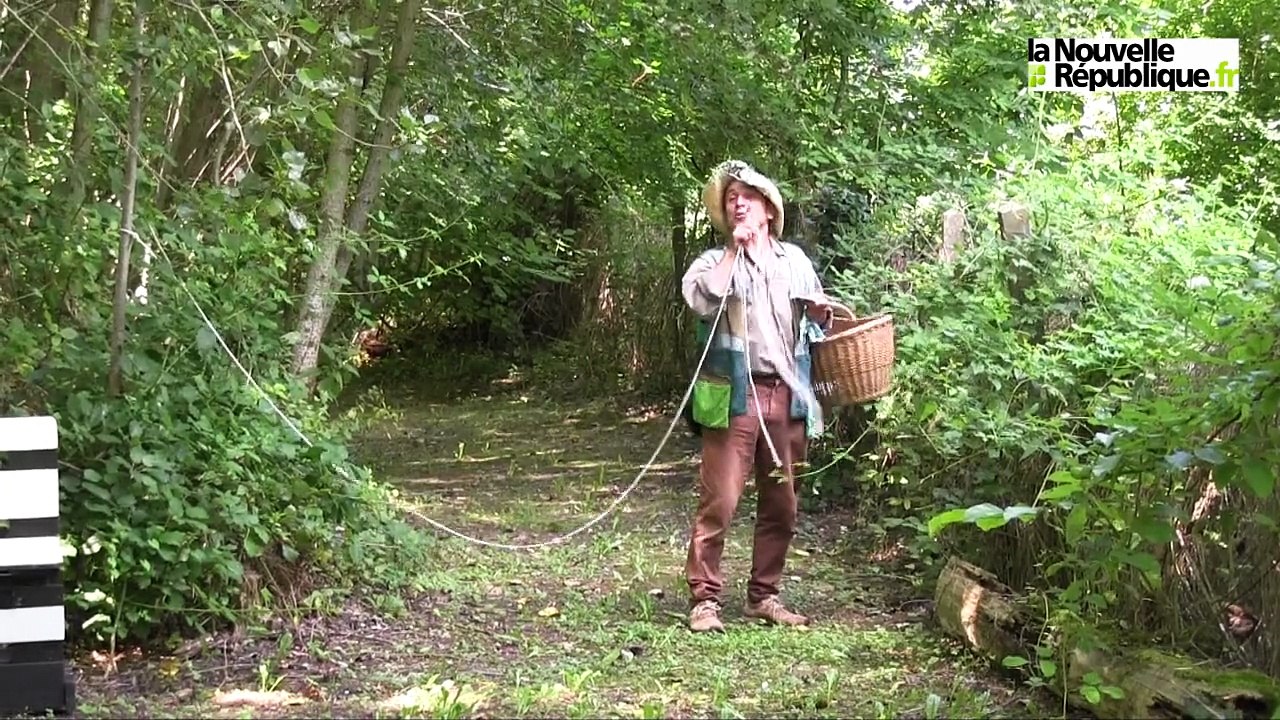 VIDEO. L'histoire de la BD prend vie à Cheverny (41)