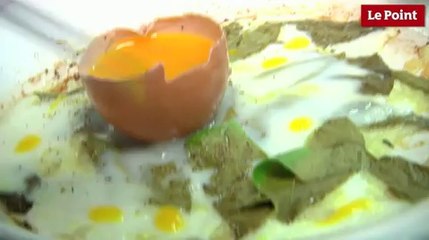 L'oeuf s'occupe de ses oignons !