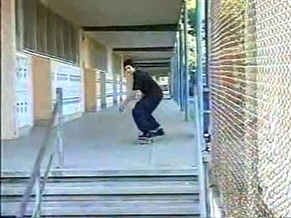 Transworld - In Bloom