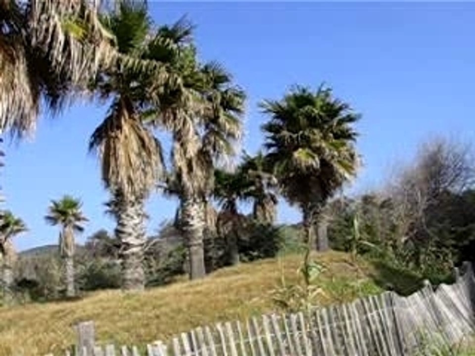 plage à hyères (83)