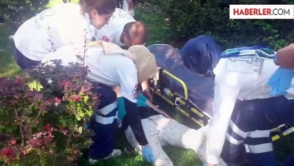 Genç Kızlar Uyuşturucu Komasına Girdi