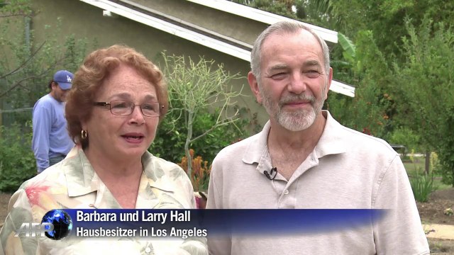 Kunstrasen und Kakteen - Kalifornier müssen Wasser sparen