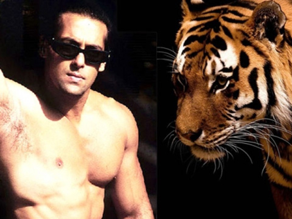 Salman Khan Pets A Tiger