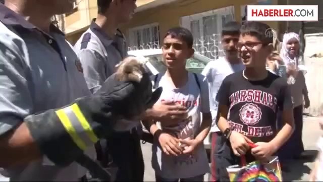 Kuyuya düşen kediyi itfaiye ekipleri kurtardı -