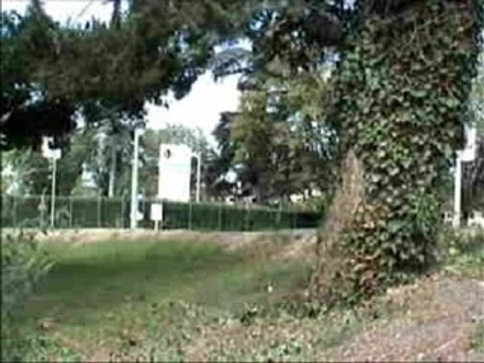 Arbre