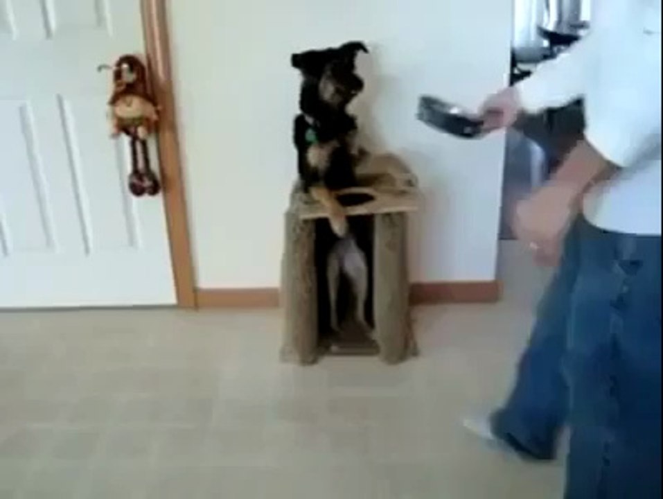 Ready for Dinner