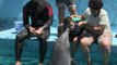 Delfines ayudan a niños con discapacidades a desarrollar sus capacidades