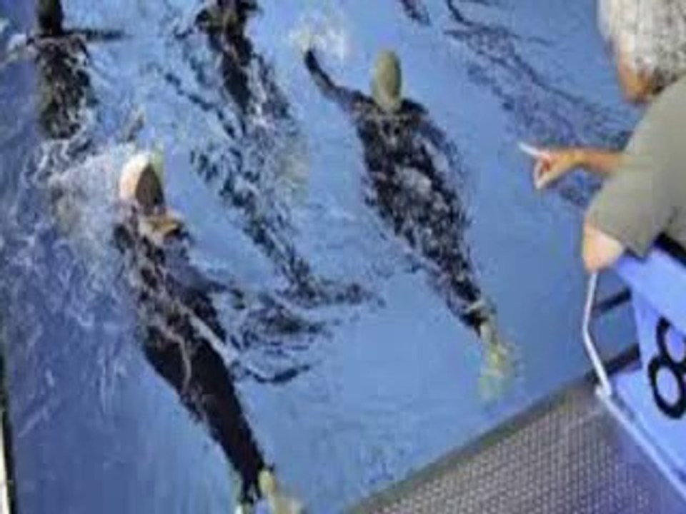 Selectie badpakken om beter te zwemmen